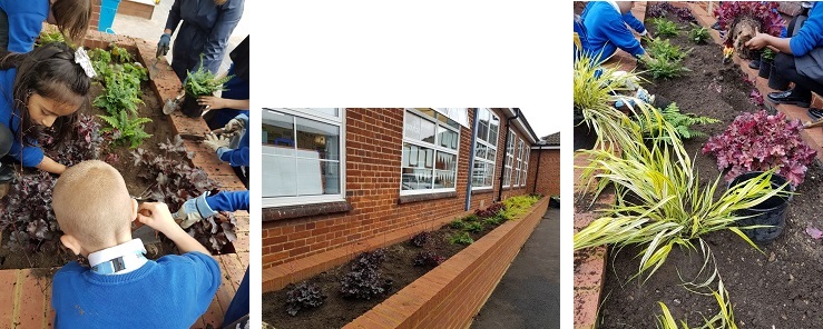 Pupils from Muschamp Primary planting their new SuDS planters